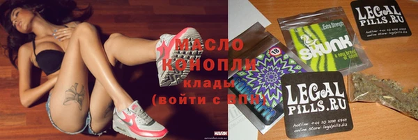 молекула духа Новозыбков