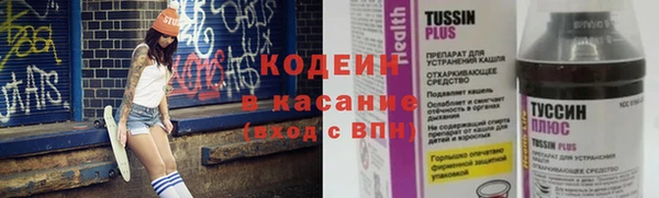 молекула духа Новозыбков