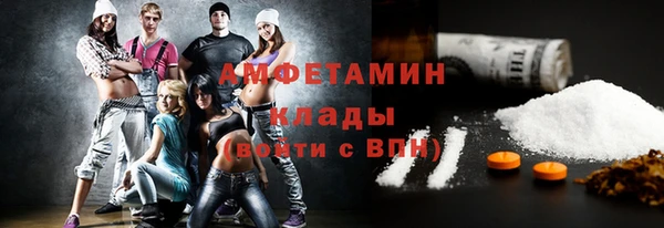молекула духа Новозыбков