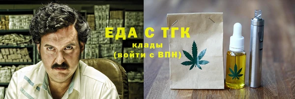 шишки Новодвинск