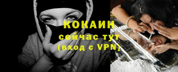молекула духа Новозыбков