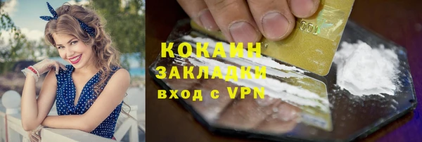 шишки Новодвинск