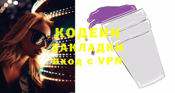 шишки Новодвинск