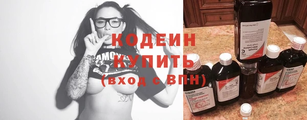 молекула духа Новозыбков