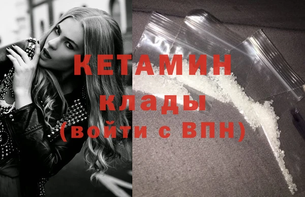 шишки Новодвинск