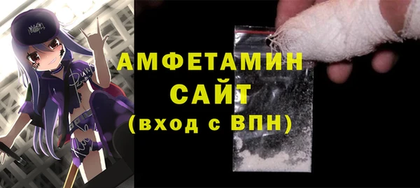 шишки Новодвинск