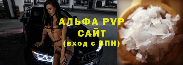 шишки Новодвинск