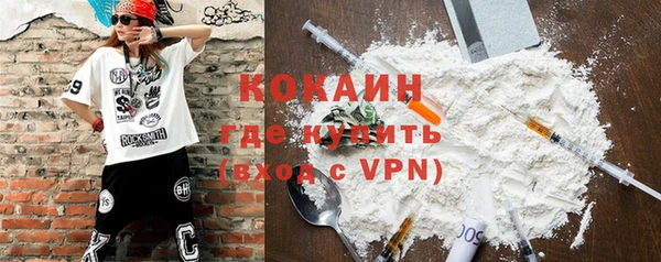 молекула духа Новозыбков