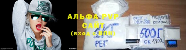 молекула духа Новозыбков