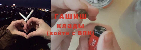 шишки Новодвинск