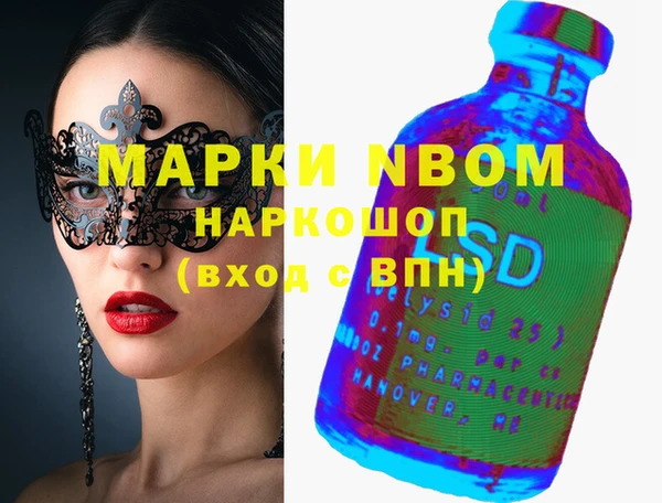 молекула духа Новозыбков