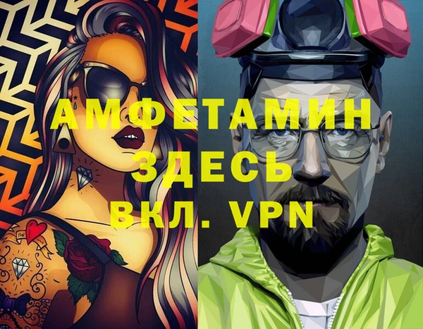 молекула духа Новозыбков