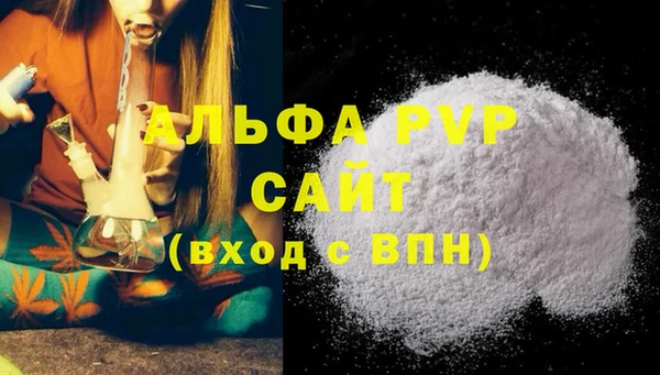 шишки Новодвинск