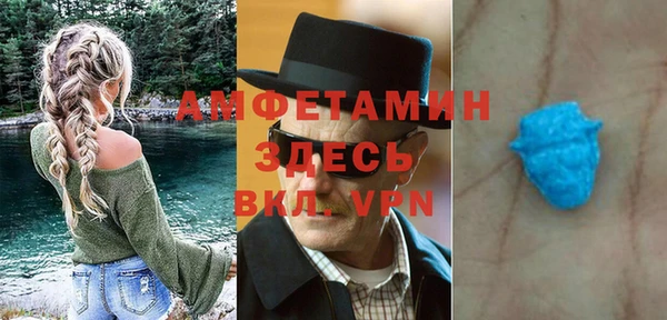 шишки Новодвинск