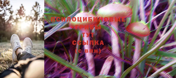 молекула духа Новозыбков