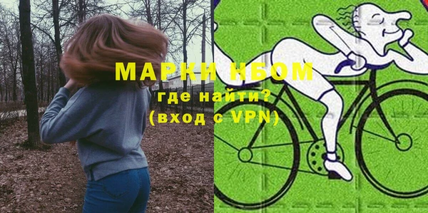 шишки Новодвинск