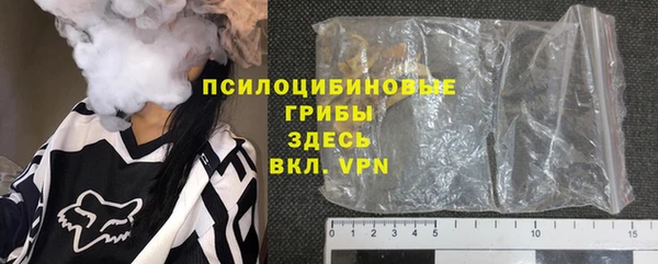 молекула духа Новозыбков
