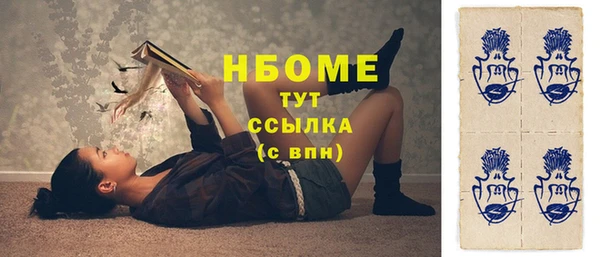 шишки Новодвинск