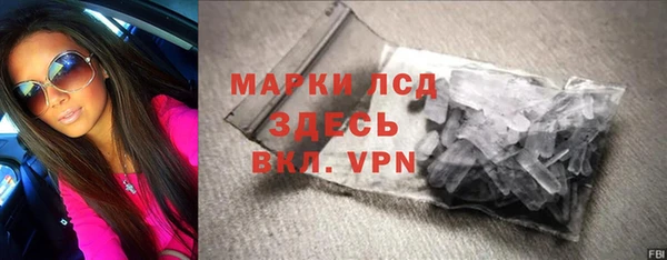 молекула духа Новозыбков