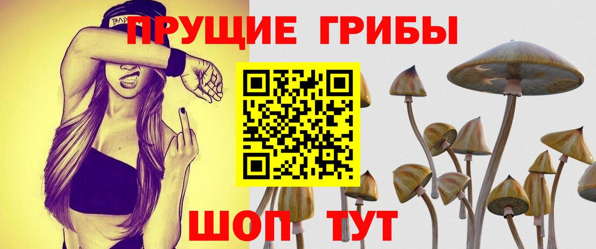 Галлюциногенные грибы мухоморы  Галлюциногенные грибы Psilocybe  Канск 