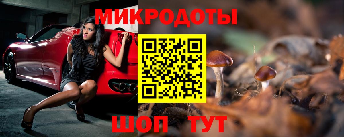 Псилоцибиновые грибы GOLDEN TEACHER Канск